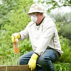 Rentokil Initial: Potential Opportunity in Pest Control