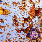 The great social media migration