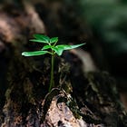 Comunicação ESG: conectando marcas com sustentabilidade e responsabilidade