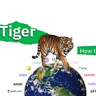 Tiger Global: How to Win