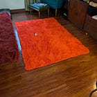 The Dog ate the Carpet