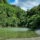 This Jungle Hike in Costa Rica was a life-changing experience