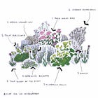 How to Garden - a foolproof recipe for a flowerbed 