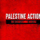 Palestinian 'activism' is actually domestic terrorism.