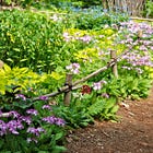Chanticleer: Asian Woods & Bulb Lawn