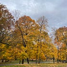 Seasons change: Letting go and gaining peace