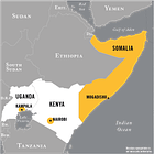 Somalian, US Forces Kill Senior al-Shabaab Terrorist Leader In Joint Operation