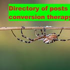 Directory post of posts about conversion "therapy" in the Dallas Fort Worth Area. A Christian campaign for our destruction. 