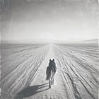 The Snowfield – I 