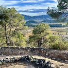 Why You Should Be Drinking More Catalan Wine