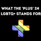 What the 'Plus' in LGBTQ+ Stands For