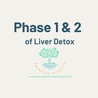 Liver Detoxification