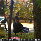 Orange Co. Sheriff charges two Democrats caught on camera vandalizing Trump signs