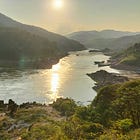 Mekong. Vita e insegnamenti del fiume 