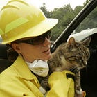 Cut some trees to save our forests: A plea from a former wildfire reporter 