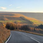 joy in the slow lane