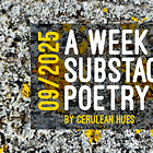 This Week in Substack Poetry 09/2025