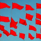 Red Flag Alert – Solar Storm