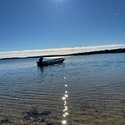 ⌛Reflections on What's Changed on Martha's Vineyard in 2024