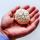 What's In A Brain?