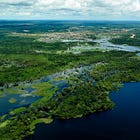 Amazon Rainforest Loss Sharply Down Under Brazil's Lula. Carbon Cost Of Yeeting Bolsonaro Into Sun Was Maybe Worth It.