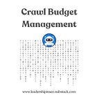 Crawl budget management for publishers and large sites