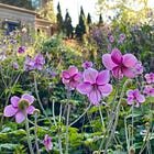 September 2023 Garden Bloggers’ Bloom Day