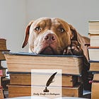 What does your TBR book stack say about you?