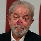 Focinho de Porco é Tomada, Diz Especialista