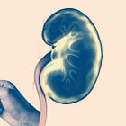 Signals Brief: CMS Just Announced The Increasing Organ Transplant Access (IOTA) Model