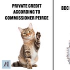 Shadows of Private Credit 