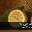 Tra gli alberi dei limoni 🍋