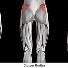 Muscle Monday: The Glutes