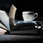From Autopilot to Authenticity: Slowing Down to Find My Voice