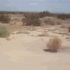 TUMBLEWEED BLUES: ‘Covert Influence Activities Are Not Journalism’
