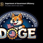 Can the Privacy Act Put a Muzzle on DOGE?