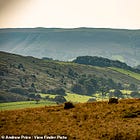Wind War: 'Wills & Harry's ex-nanny Tiggy Legge-Bourke's family locked in furious row with neighbours over plan to make £1M-a-yr by blighting beautiful Welsh hills with 36 x 700ft monstrous turbines'