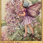 Flower Fairy Season