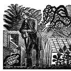 Autobiography of a tortoise, 1784
