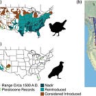 The Dawn of “Immigrant Species Biology”