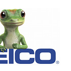 GEICO Prioritizes Profits Over Market Share