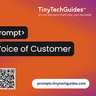 Prompt Workflow: Voice of Customer