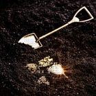 Selling Shovels in a Gold Rush