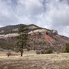 Sen. Mike Lee revives public land sell-off bid