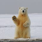 Do's and Don'ts in a Bear Market