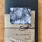 A Re-Collection of Birds 