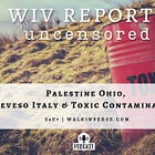 Palestine Ohio, Seveso Italy & Toxic Contamination