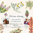 Our next drawing session: Wonderful Wildflowers