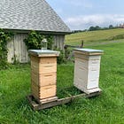 How to Begin Beekeeping and Find Gratitude amidst Disaster