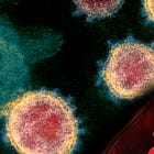 New Science: How SARS CoV2 and the Genetic Jabs Cause Blood Clots